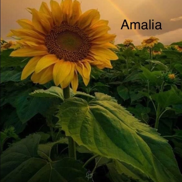 amalia1083